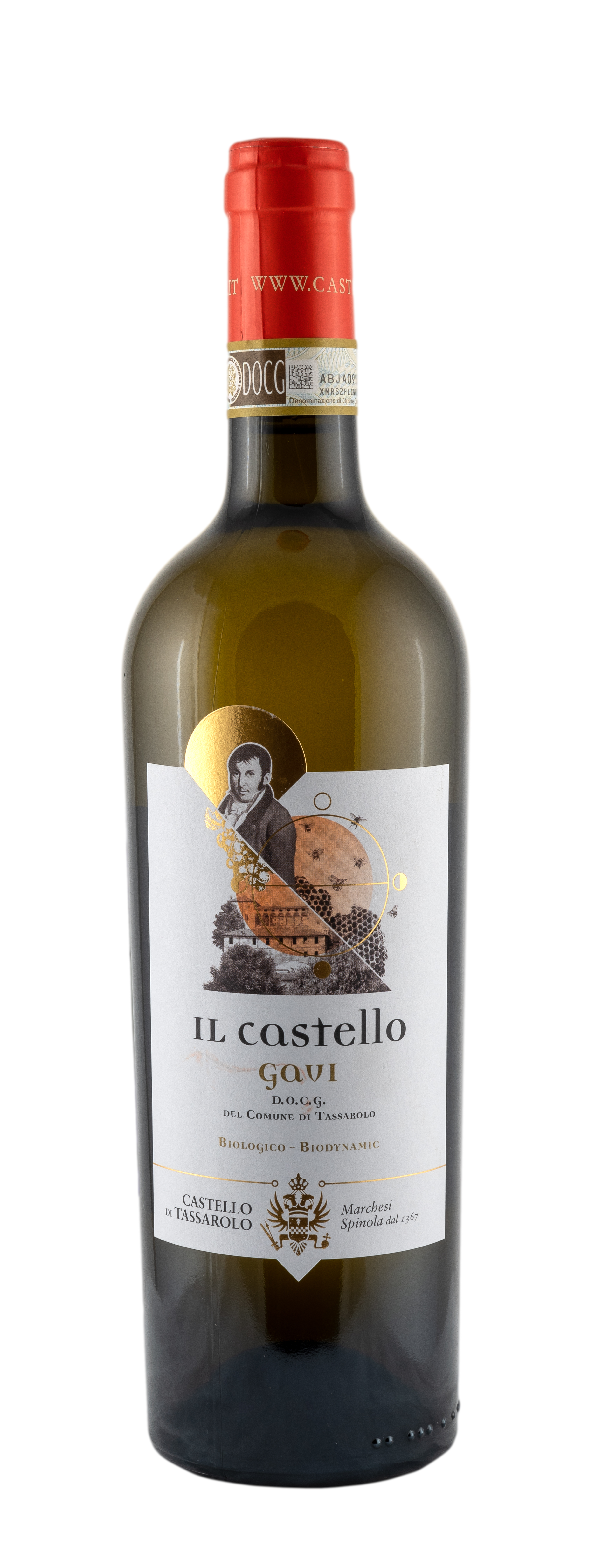 Wine Castello di Tassarolo Gavi  Il Castello