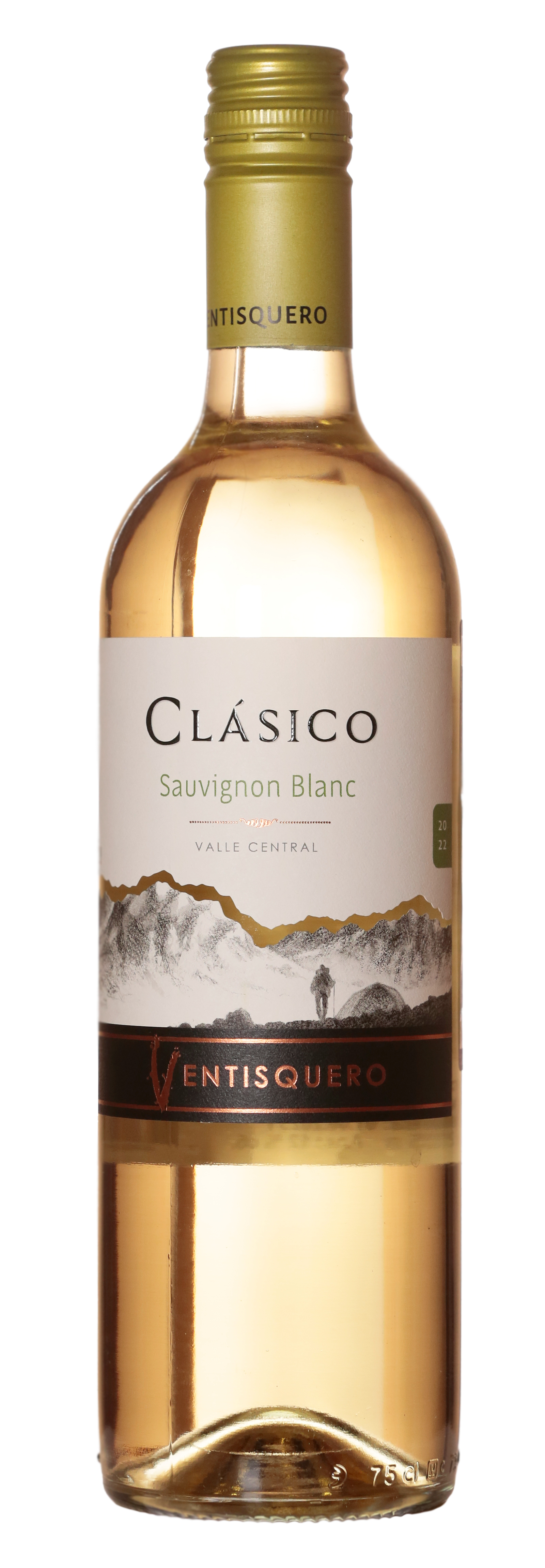 Wine Ventisquero Clasico Sauvignon Blanc
